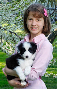 Picture